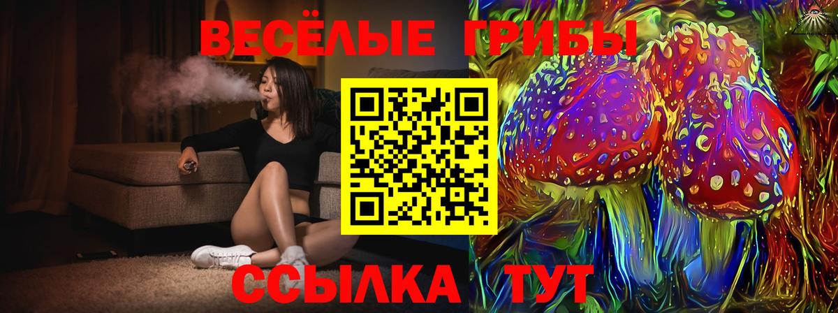Галлюциногенные грибы мицелий  Вход с VPN  Новошахтинск 